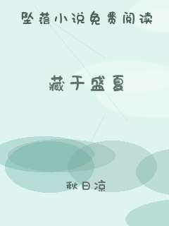 藏于盛夏