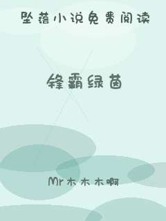 锋霸绿茵
