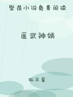医武神婿